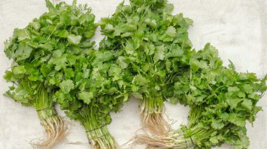 garnishing-instructions-image